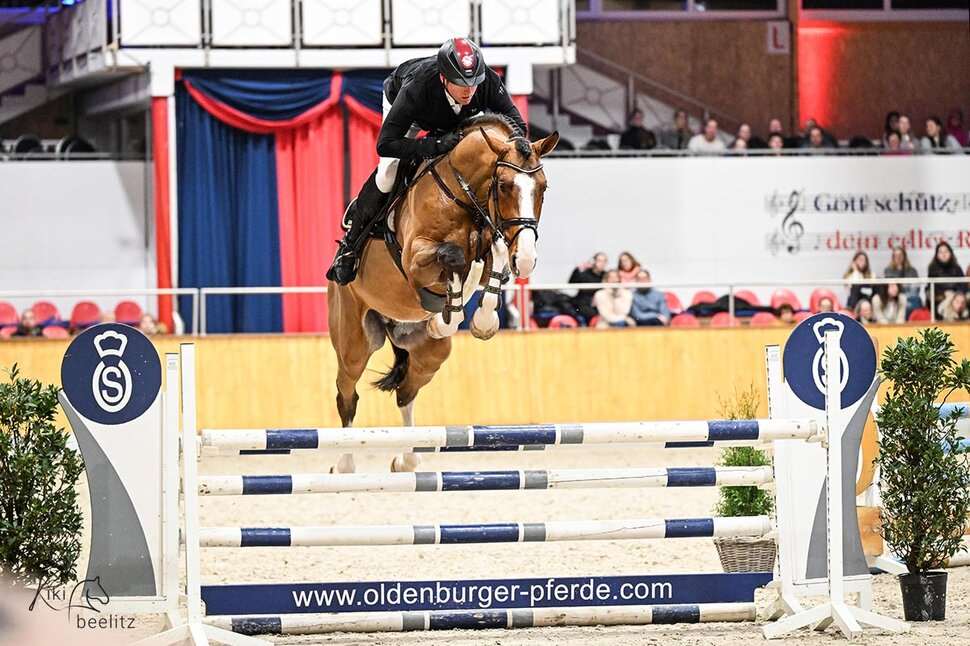 Stakkato Cornet Stallion